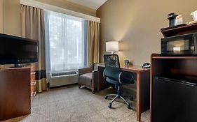 Comfort Suites Sawgrass Tamarac United States Of America